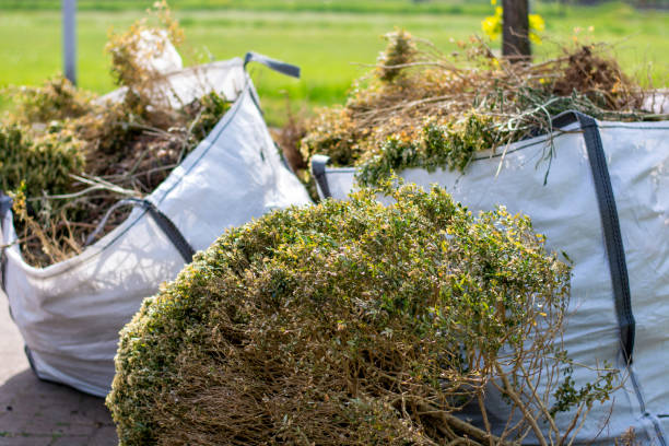 Best Basement Cleanout Services  in Binghamton University, NY